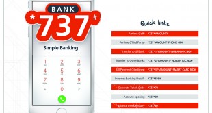 BANK 737 VISUAL